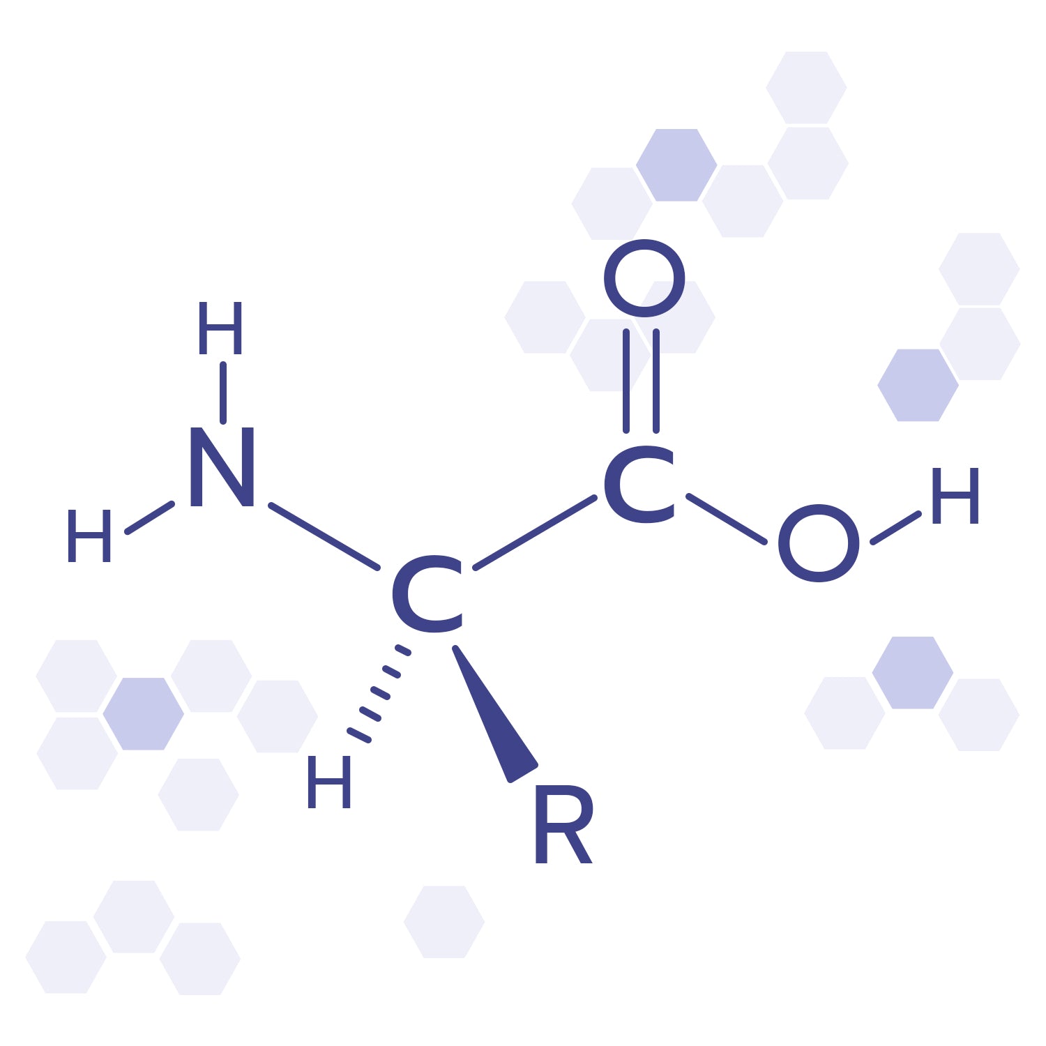 2_31e34daa-ead1-4dd5-adc1-afb93a15f3a8.jpg