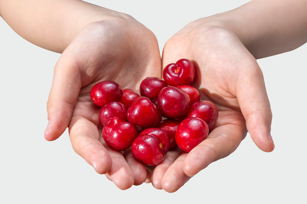 Why Do Women's Probiotics Contain Cranberry? Understanding the Probiotic + Prebiotic + Cranberry Formula