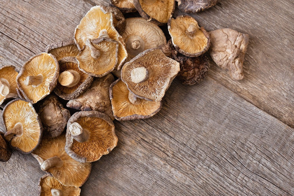 Functional Mushrooms Explained: What Makes Them So Popular?