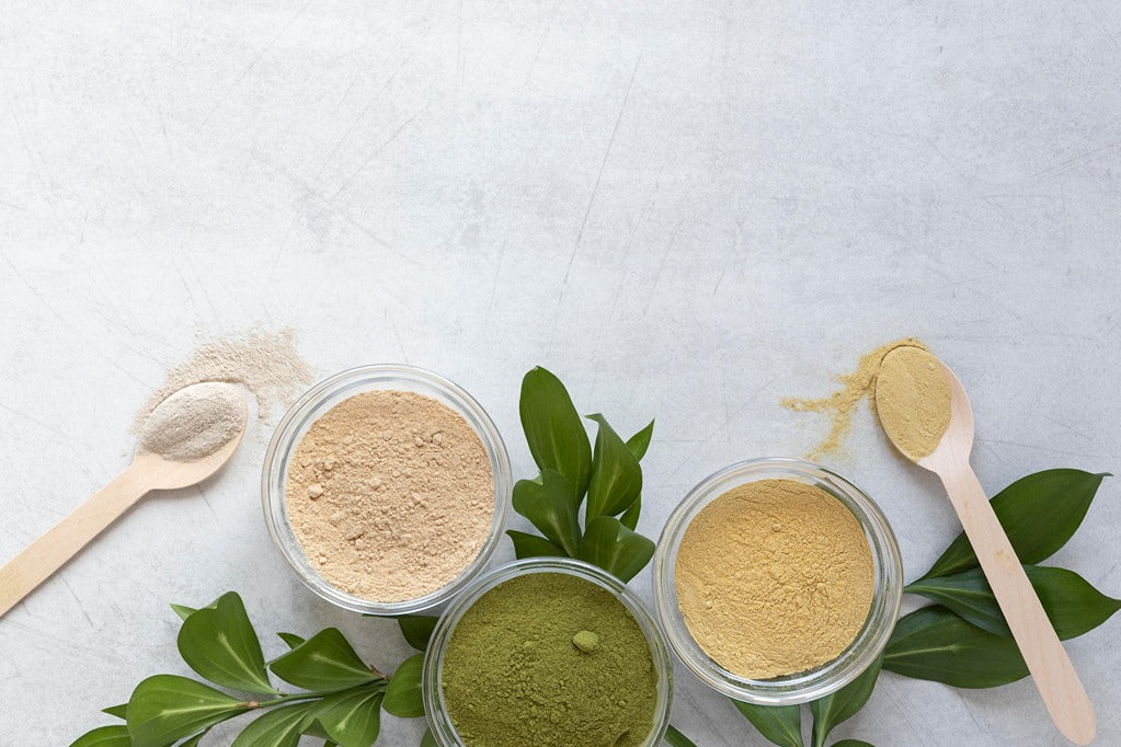 What Are Adaptogens? How They Help the Body Manage Stress