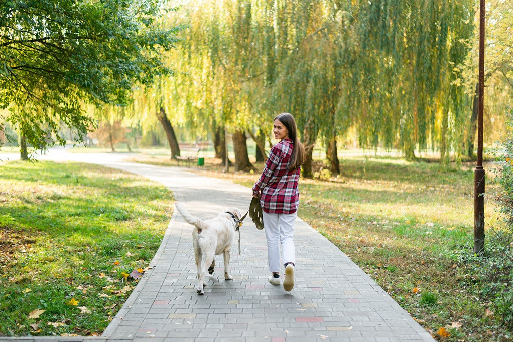 Why Regular Movement Is Important for Long-Term Health