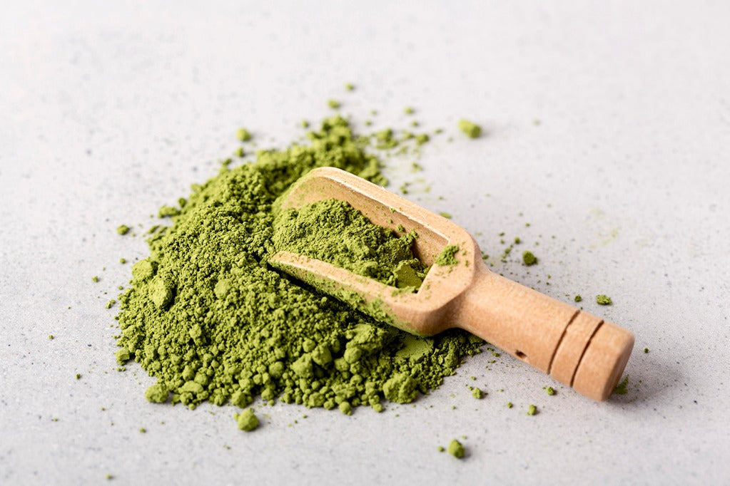 Top Health Benefits of Moringa Capsules for Energy, Immunity, and Vitality