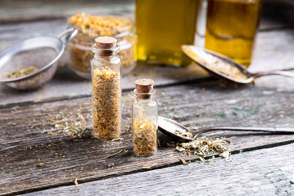 Why More People Are Pairing Oil of Oregano with Black Seed Oil for Daily Wellness