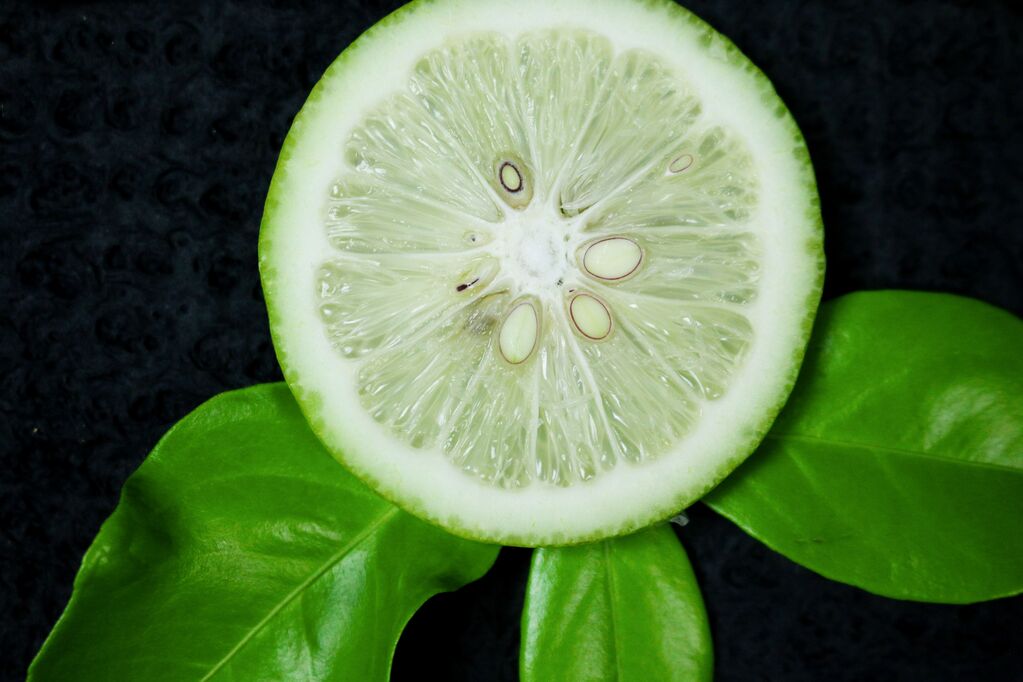 Can You Take Citrus Bergamot With Statins? What to Know About Bergamot + Piperine