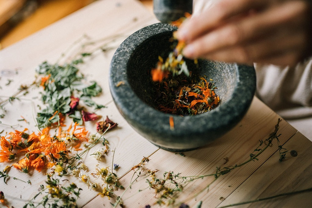 Beyond Probiotics: Why Women’s Gut Health May Benefit from Botanical Support