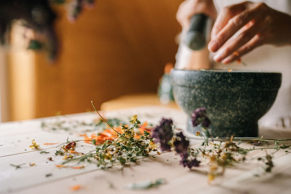 What Are Adaptogens? A Beginner's Guide to Stress Support