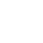 Immune Health* 