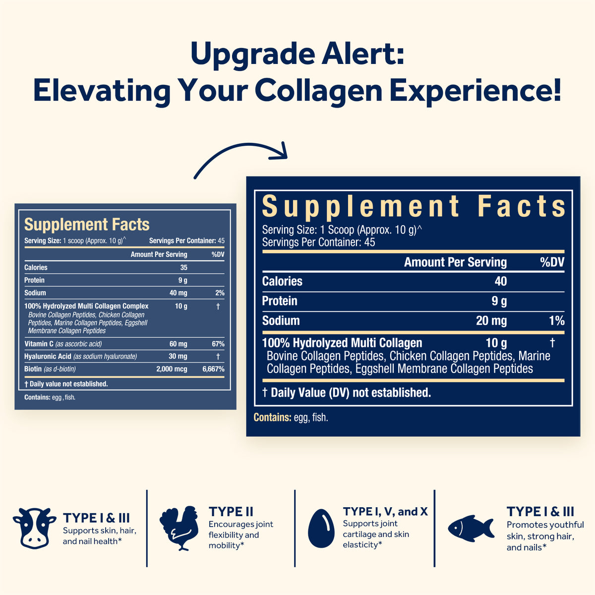 Supplement Facts | 10g MG of Collagen, Type I II III V X | 45 servings
