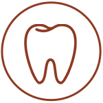 Teeth*