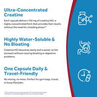 Creatine HCl