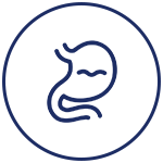 Optimal Digestion*