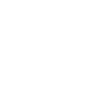Digestion*