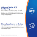 Alpha GPC 600 mg