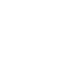 Digestion*