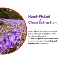 Saffron Extract