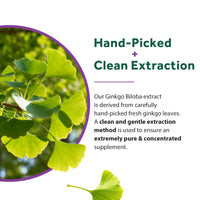 Ginkgo Biloba Tablet