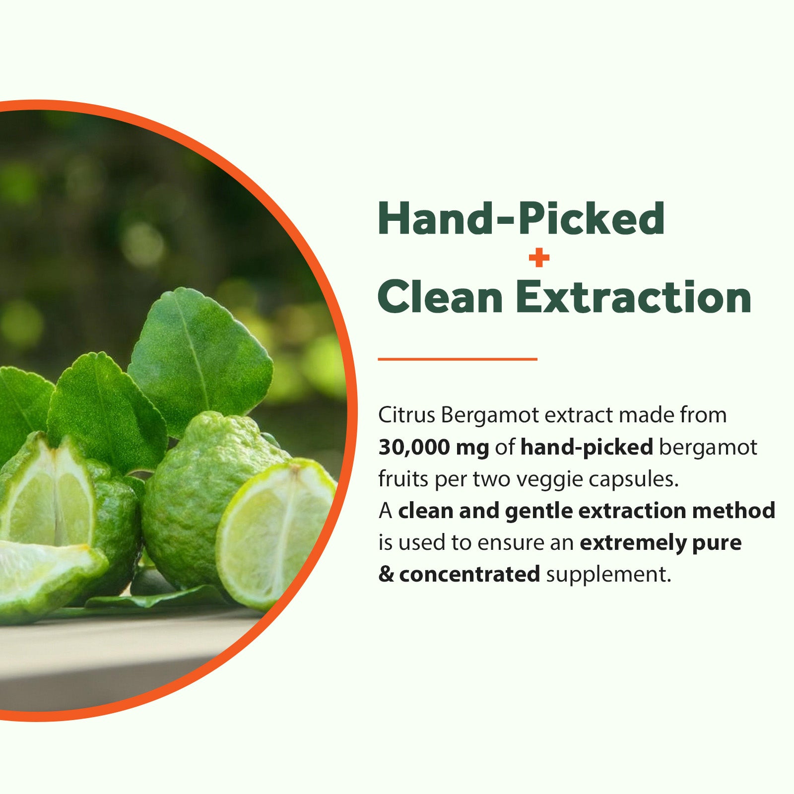 Citrus Bergamot