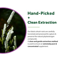 Black Cohosh