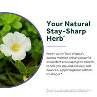 Bacopa