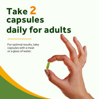 Take 2 Doctor’s Recipes Moringa capsules daily for adults