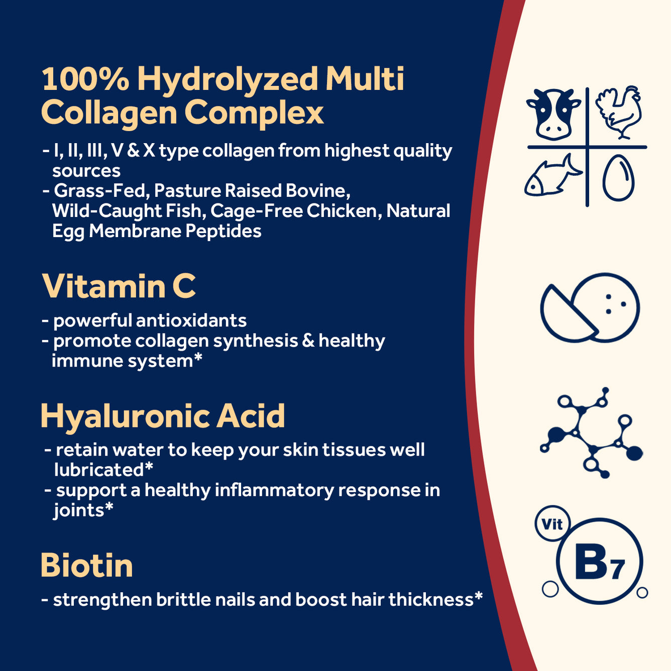 Multi Collagen Powder