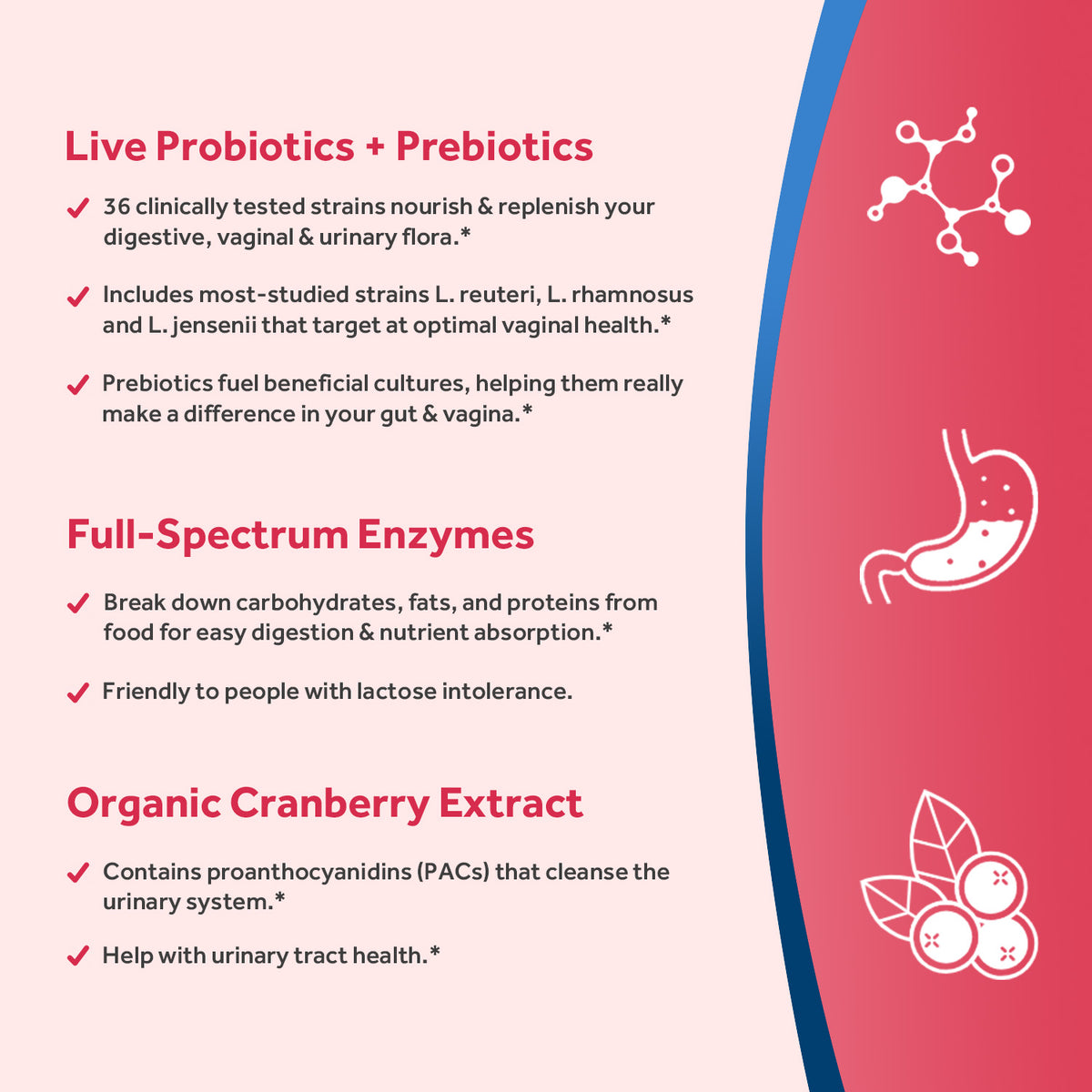 Doctor's Recipes Women's Probiotics contains organic cranberry extratc and digestive enzymes