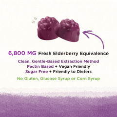 Sugar-Free Elderberry Gummies