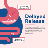 Doctor's Recipes Women's Probiotics is delayed release & shelf-stable