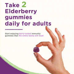 Sugar-Free Elderberry Gummies